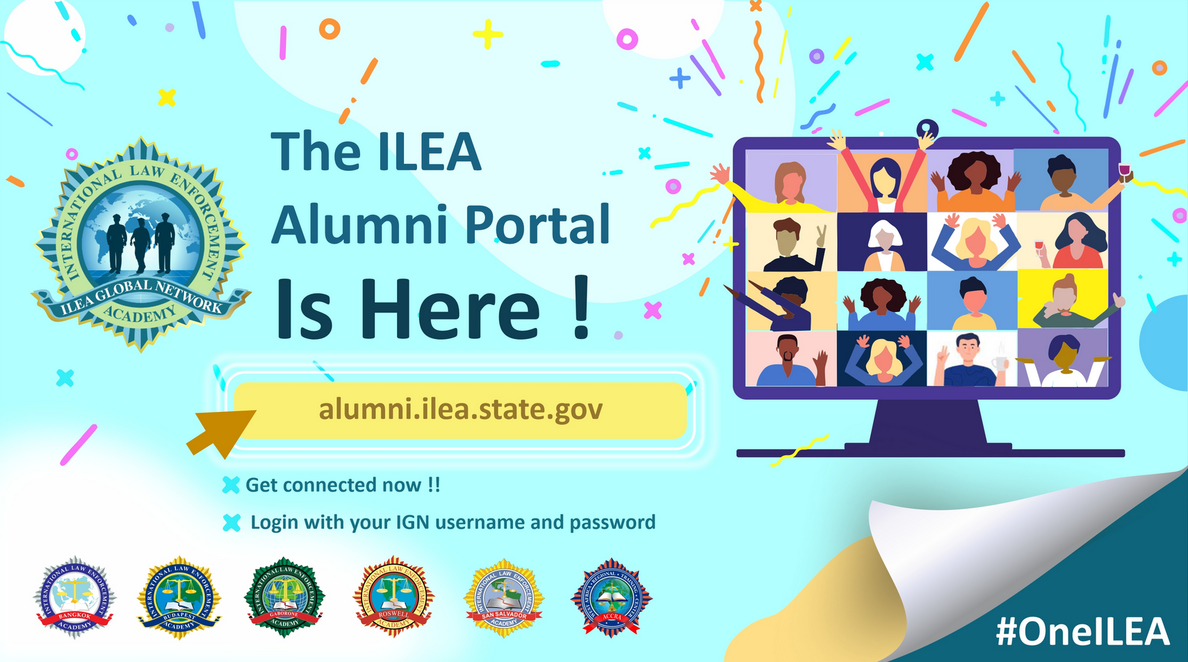 Introducing the ILEA Alumni Portal